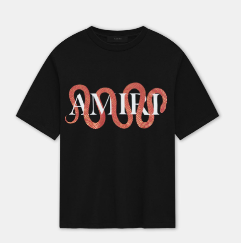 AMIRI T-Shirts
