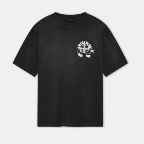 AMIRI T-Shirts